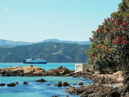 April 2016 - Kiwi Summer