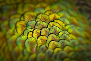 May 2016 - From a Different Perspective