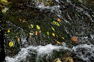 February 2017 - Water