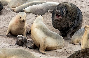 April 2018 Natural History