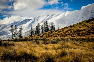 October 2018 - Landscape