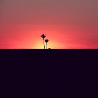 November 2018 - Breaking the Rules