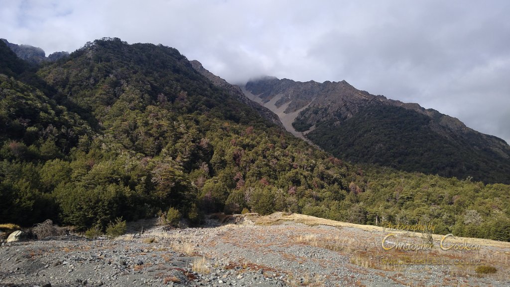 Phone Image